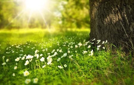 Spring Maintenance Advice from Milani Technicians - Milani Plumbing, Heating & Air Conditioning